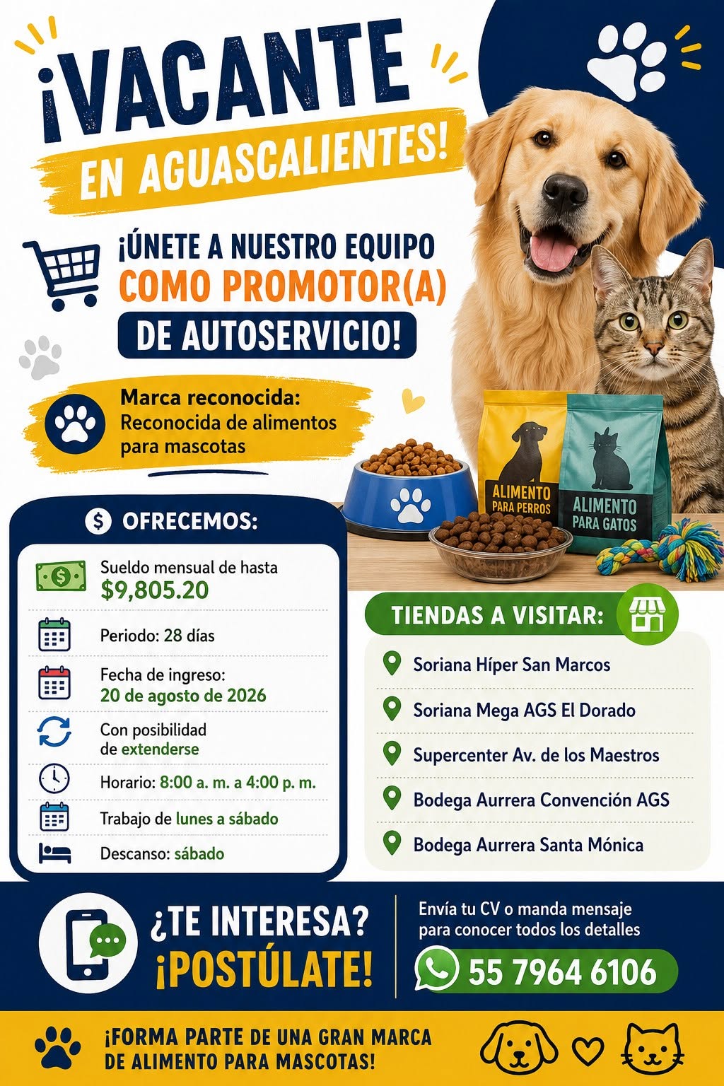 Promotor(a) de Autoservicio