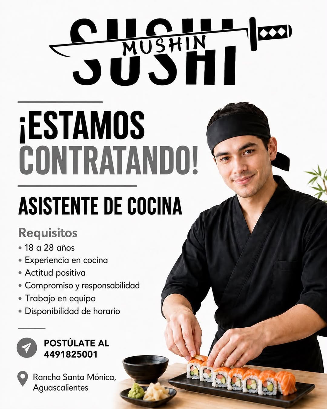 Asistente de Cocina