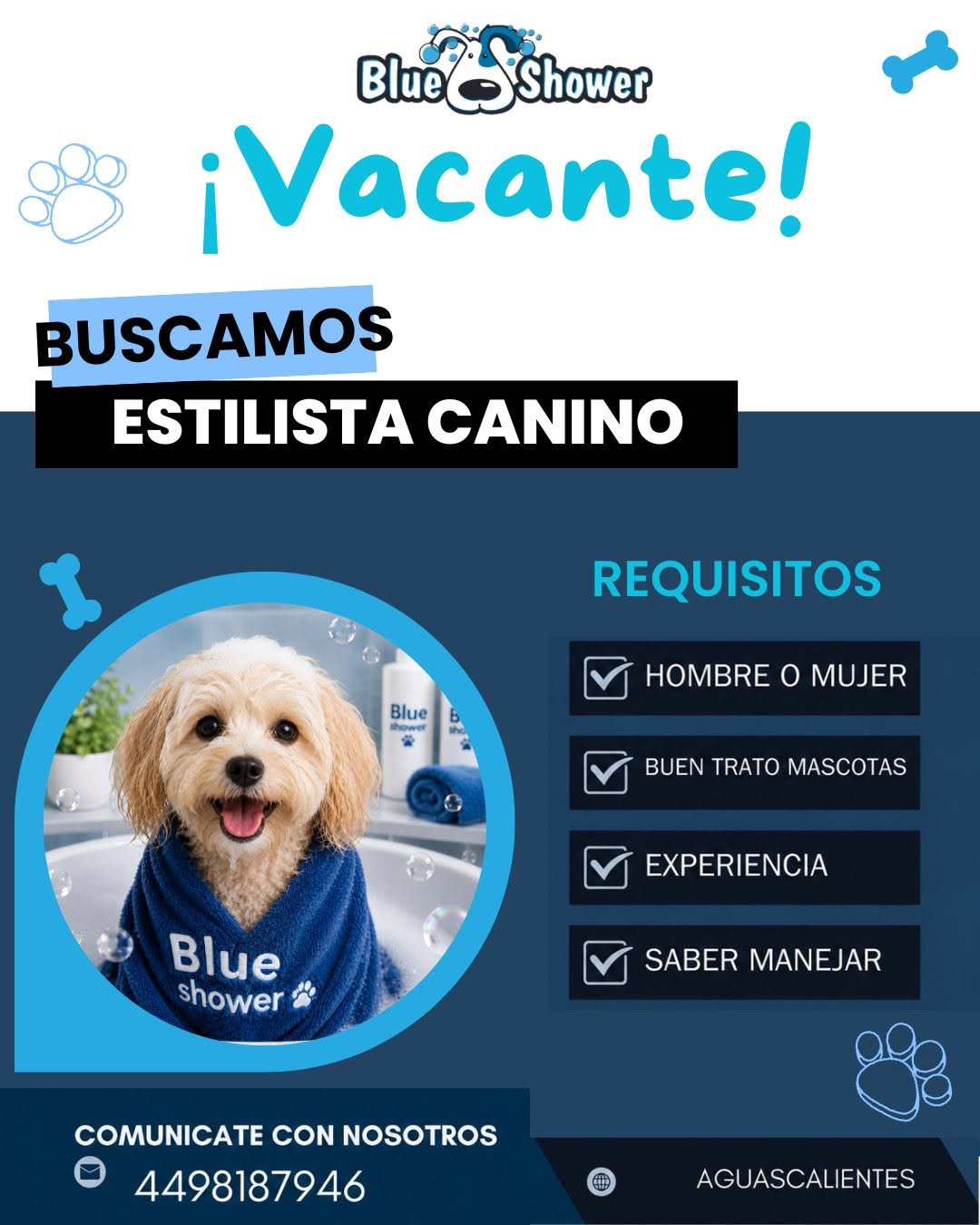 Estilista Canino