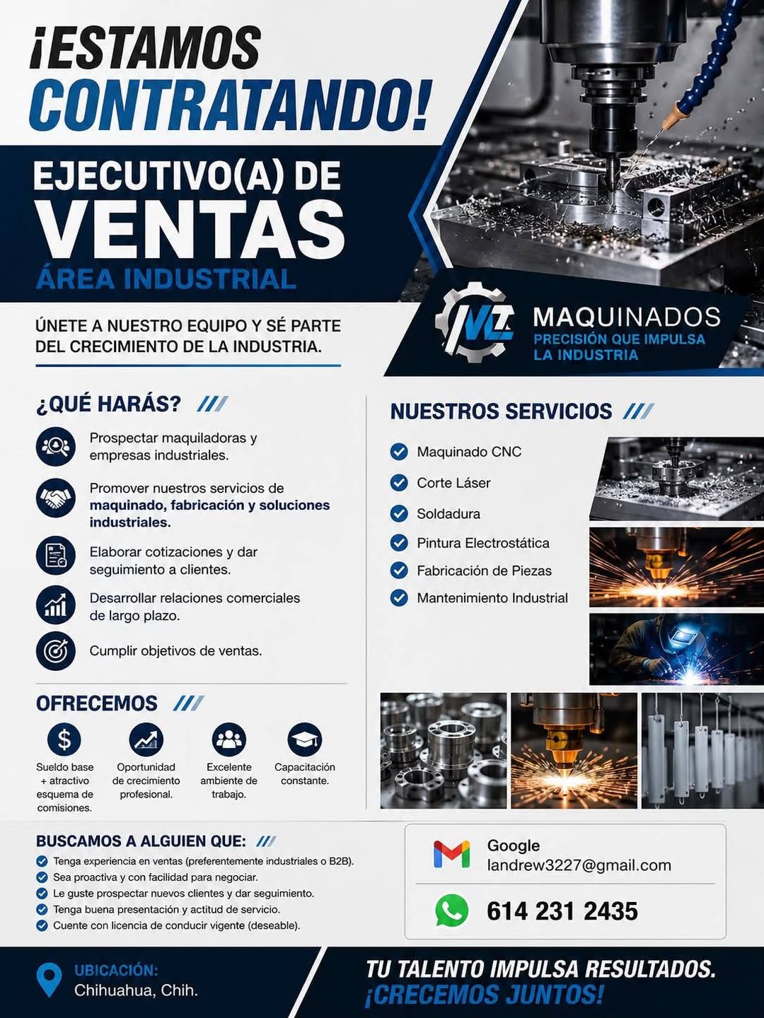 Ejecutivo(a) de Ventas