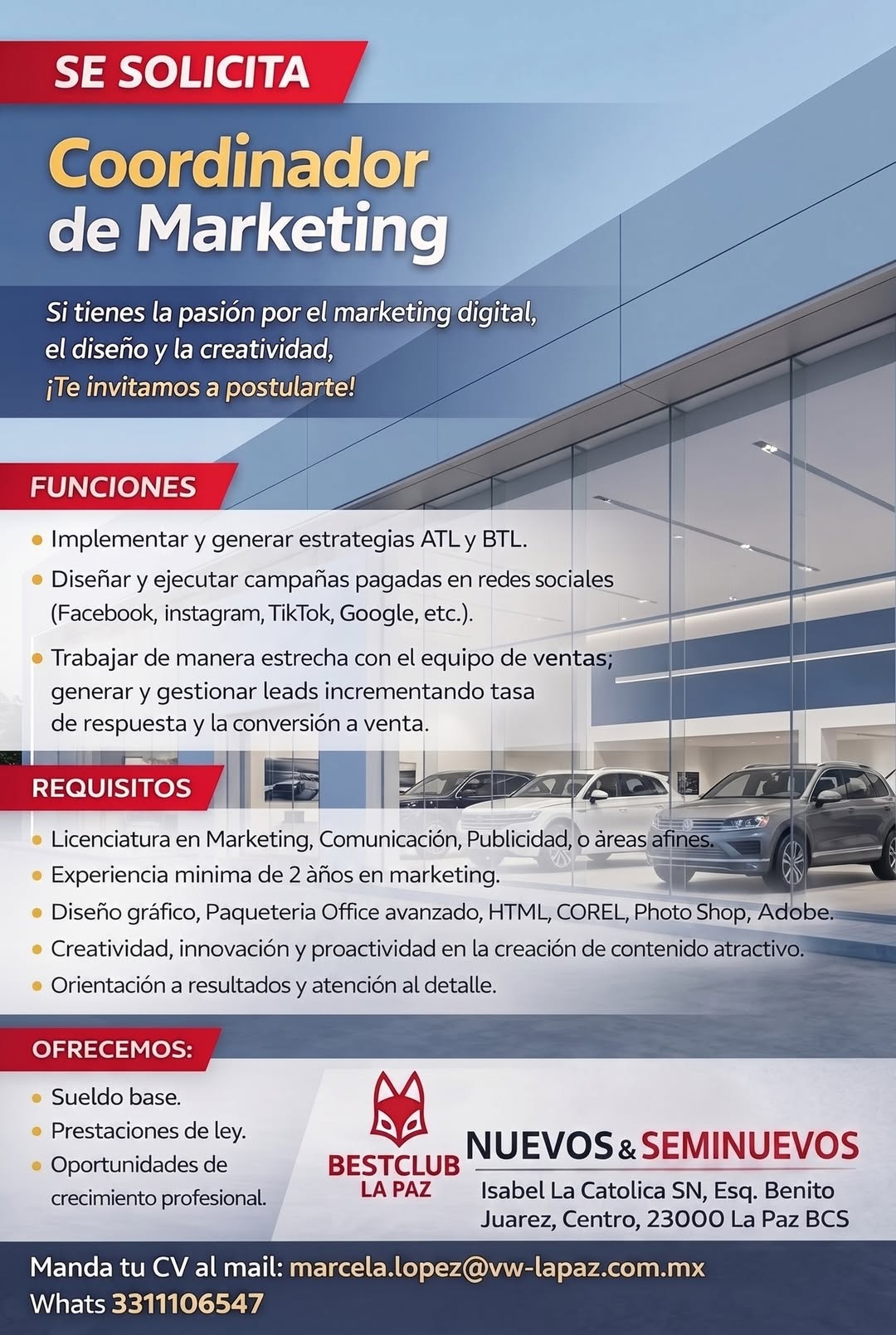 Coordinador(a) de Marketing